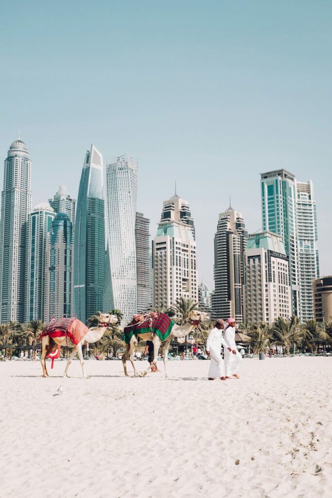 Tips For Planning The Perfect Vacation